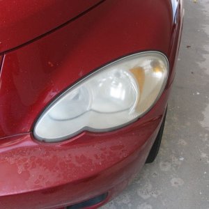 800_IMG_1168