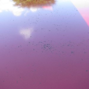 800_IMG_1213