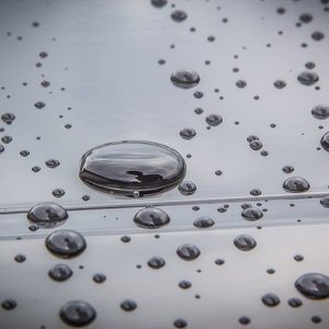 IMG_9965