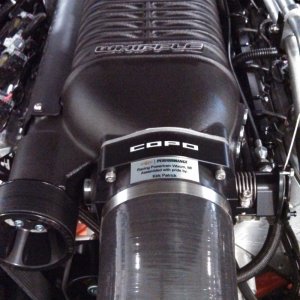 copo-1