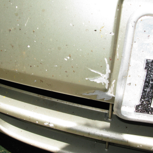 corolla-fast-amateur-repair-before