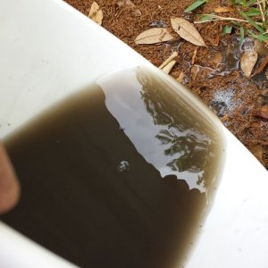 dirty_water2