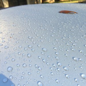 IMG_06872