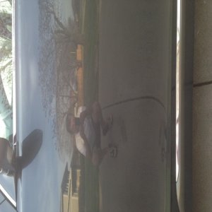 Lexus GS300