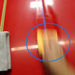 Removing a bird dropping stain Mike Phillips