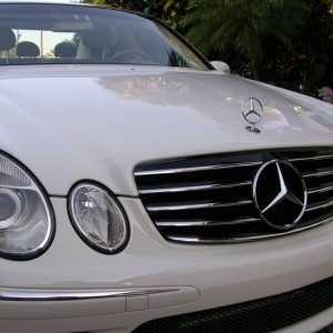 MB E500 Paint Detail