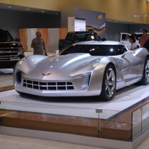 Stingray