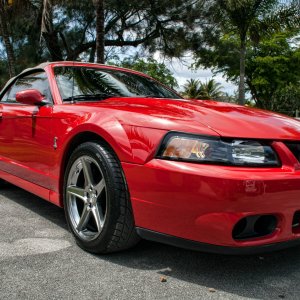 red_stang