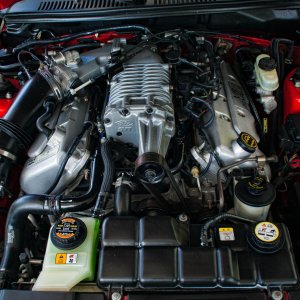 svt_cobra_engine_detail