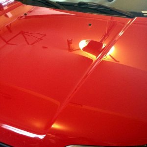 Flex 3401 Remove Swirls on Ford