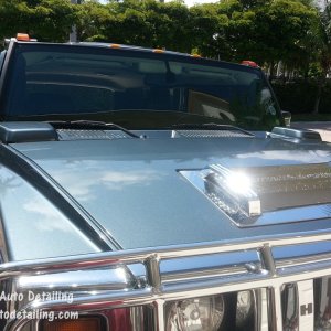Hummer_31_