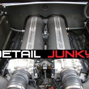 DetailJunky Lamborghini engine