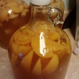 0429141859