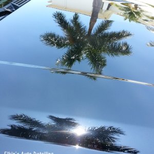 Suburban_Reflections_1_