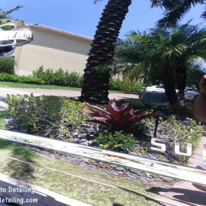 Suburban_Reflections_4_
