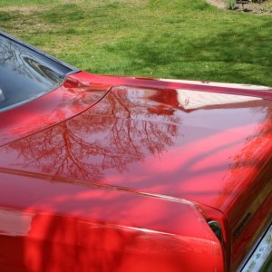 1969_Roadrunner_04