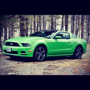 2013 Mustang