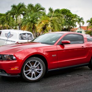 mustang1