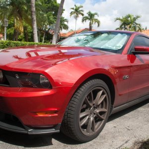 mustang_before