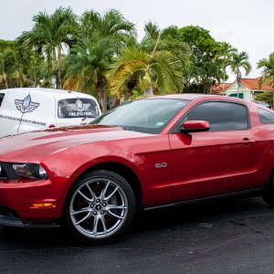 mustang_after_un_edited-2