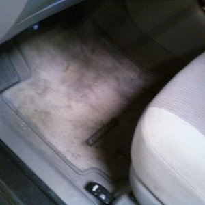 CAM003531