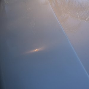IMG_8788