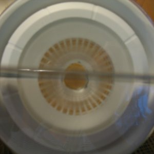 IMG_1895_resize