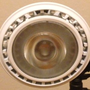 3_-_Bulb_Front