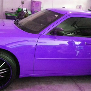 Royalty purple 08 Dodge Charger
