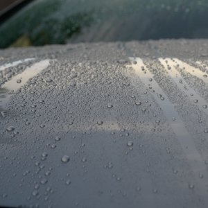 Wet_G37_003