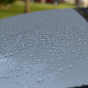 Wet_G37_008