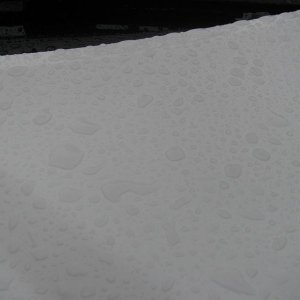 800_IMG_1455
