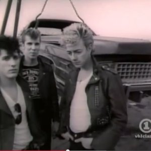 stray_cats