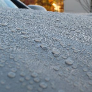 Colli 845