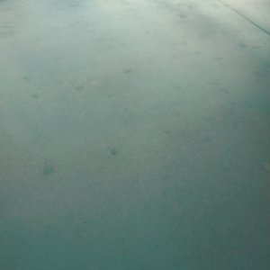 IMAG0076_zpshs3hmyzw