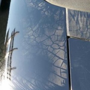 Strange_Marks