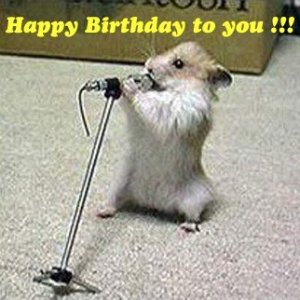 happy_birthday_to_you