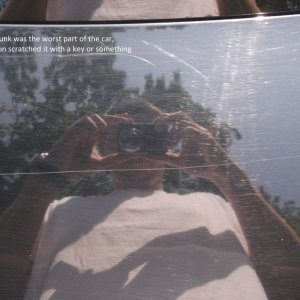 800_TrunkScratches