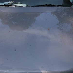 Hood before