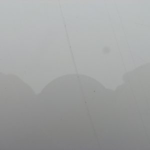 IMG_02443