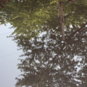 tn_IMG_6092