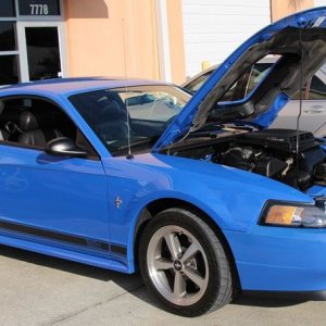 Autogeeks Cars and Coffee with Mike Phillips