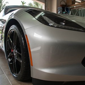 stingray_