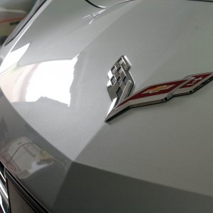 stingray_-3