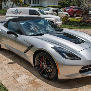 stingray_-5