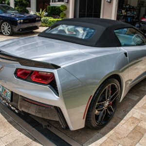 stingray_-6