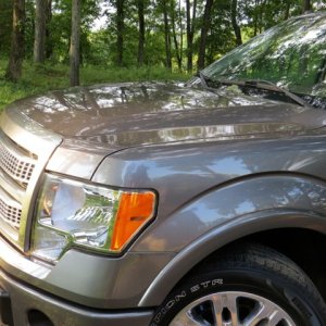 First Detail-2010 Ford F150 Platinum