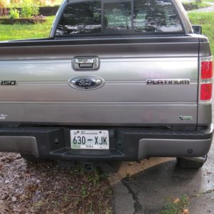 First Detail-2010 Ford F150 Platinum