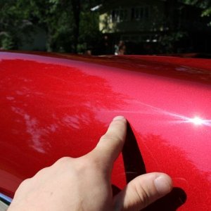 tn_IMG_6507