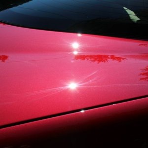 tn_IMG_6509
